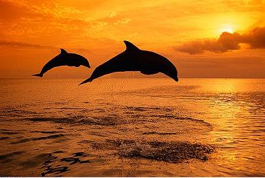 《消逝的光芒2》只做主线和部分支线通关时间不到100小时